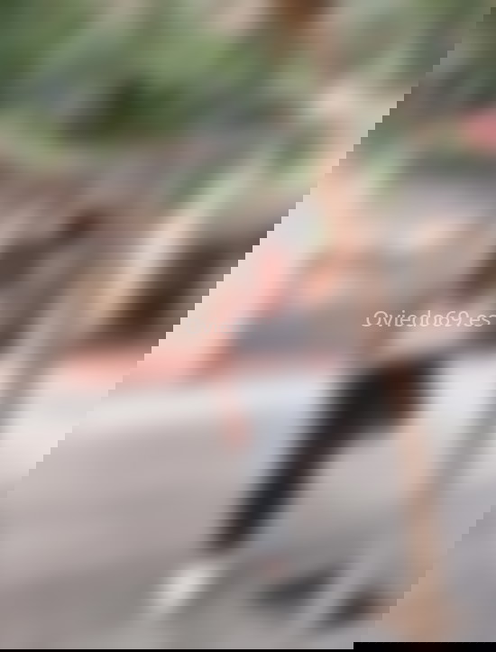 Donatella, trans venezolana divertida. 632145620. Citas en OVIEDO, OVIEDO. www.oviedo69.es.