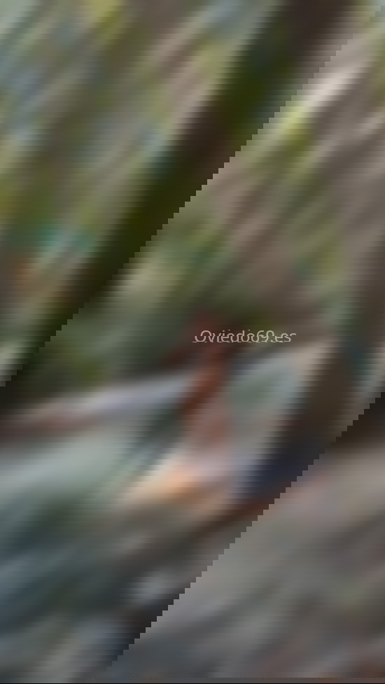 Vanesa, mujer trans divertida. 632018148. Citas en OVIEDO, OVIEDO. www.oviedo69.es.
