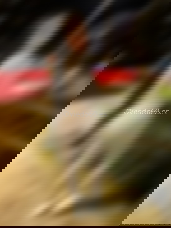 Valeria, me gusta bailar. 613897413. Citas en OVIEDO, OVIEDO. www.oviedo69.es.