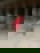 631992004
