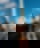 603901301