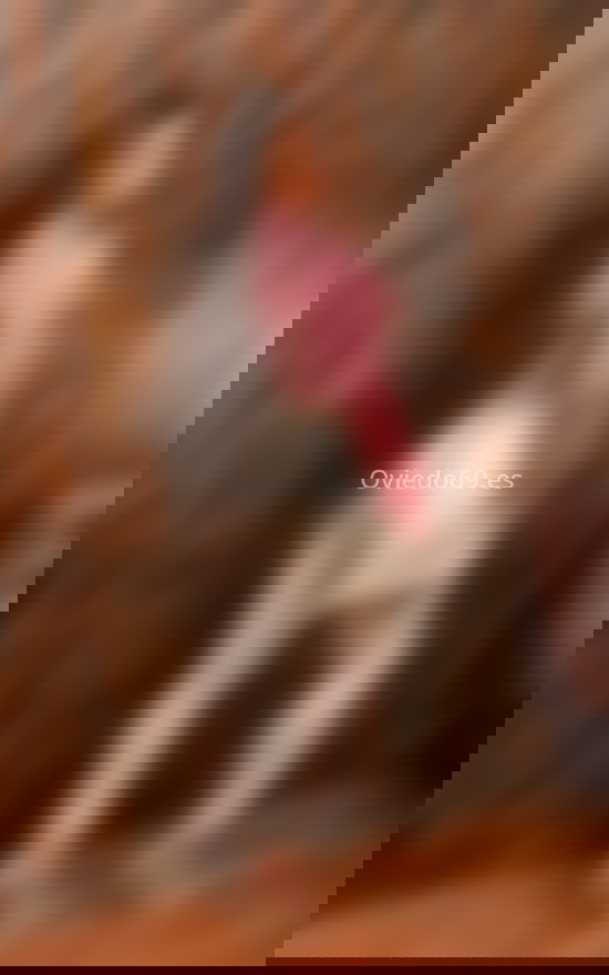 Shaira, chica trans carismática. 663141929. Citas en OVIEDO, OVIEDO. www.oviedo69.es.