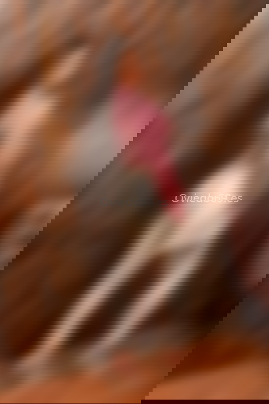 Shaira, chica trans carismática. 663141929. Citas en OVIEDO, OVIEDO. www.oviedo69.es.