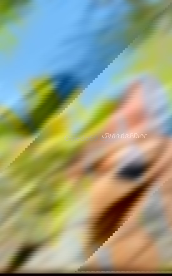 Samantha, joven divertida. 603362947. Citas en OVIEDO, OVIEDO. www.oviedo69.es.