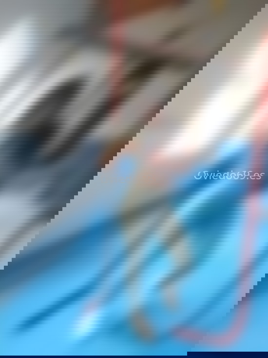 Daniela, latina encantadora. 611291456. Citas en OVIEDO, OVIEDO. www.oviedo69.es. Daniela, latina encantadora. 611291456. Citas en OVIEDO, OVIEDO. www.oviedo69.es.