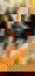 603129013