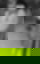 684615807